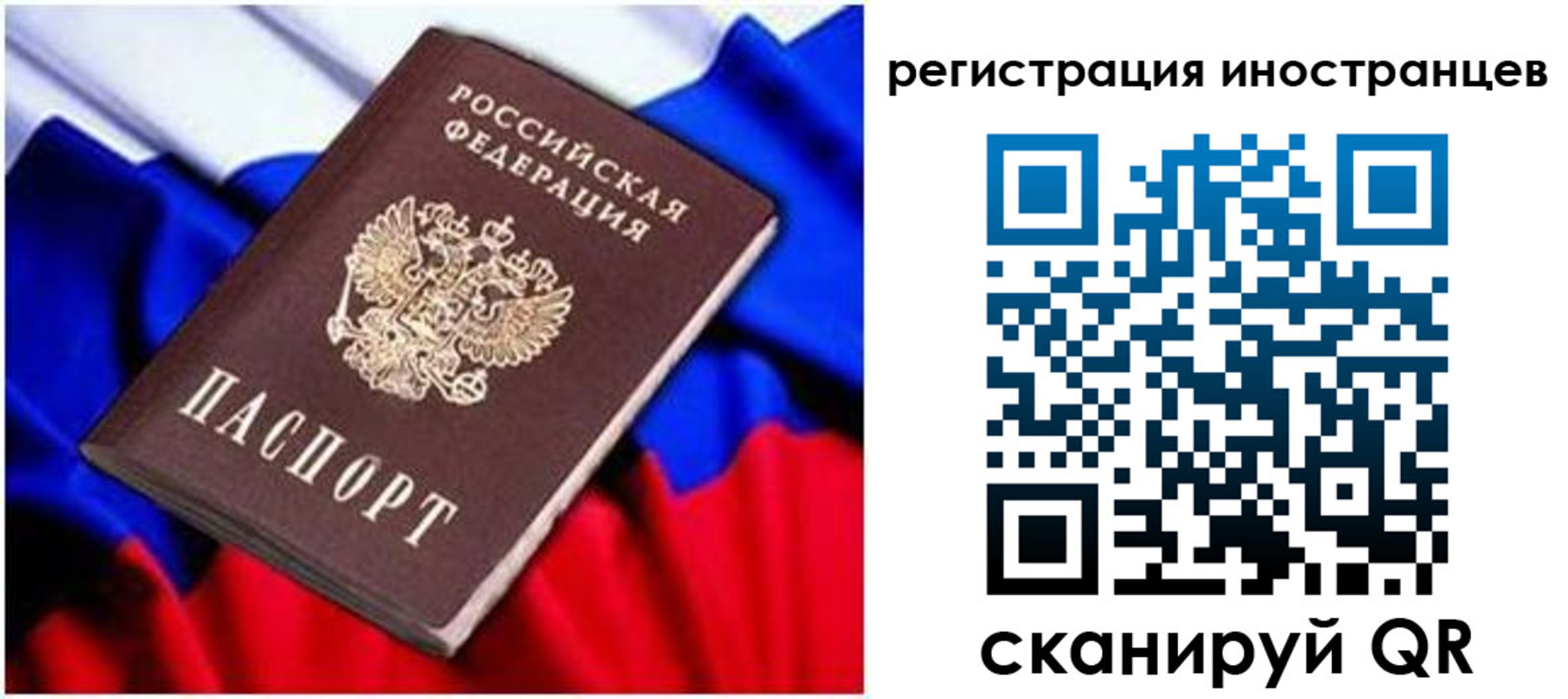 прописка для школы в Ермолино